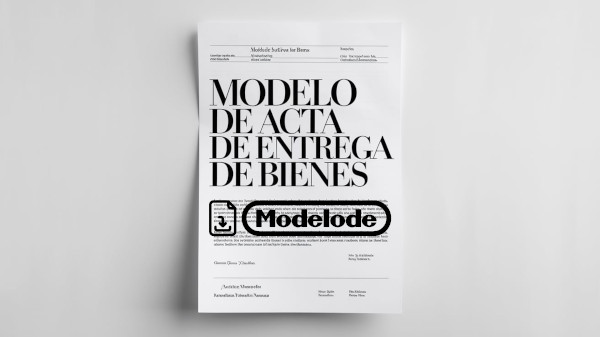 Modelo de acta de entrega de bienes en Word