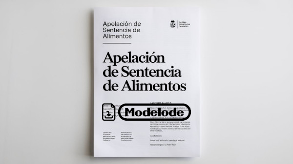 Modelo de apelación de sentencia de alimentos en Word