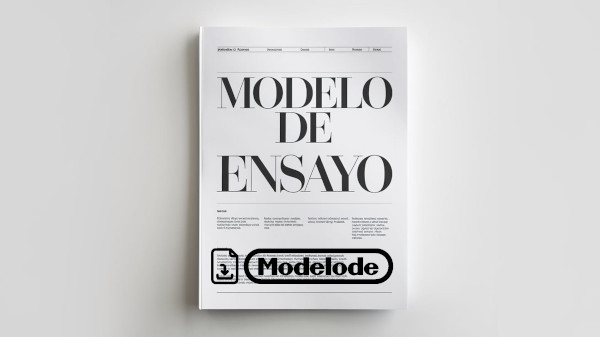 Modelo de ensayo en Word