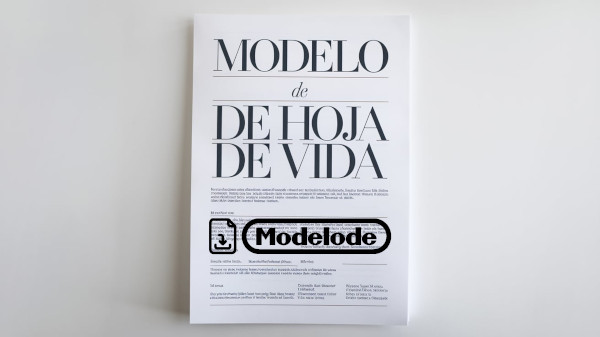 Modelo de hoja de vida en Word