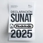 Modelo de declaración SUNAT 2025 en Word [Perú]