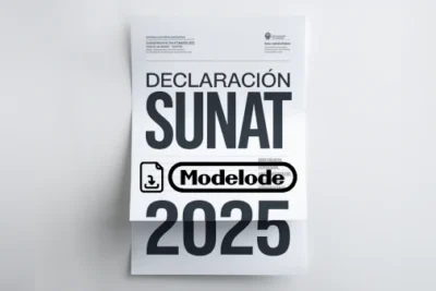 Modelo de declaración SUNAT 2025