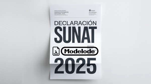 Modelo de declaración SUNAT 2025