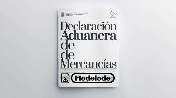 Modelo de declaración aduanera de mercancías en Word