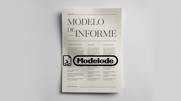 Modelo de informe