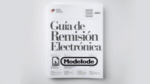 Modelo de guía de remisión electrónica en Word